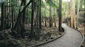 Mapleton Falls National Park