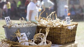Nabiac Farmers Market