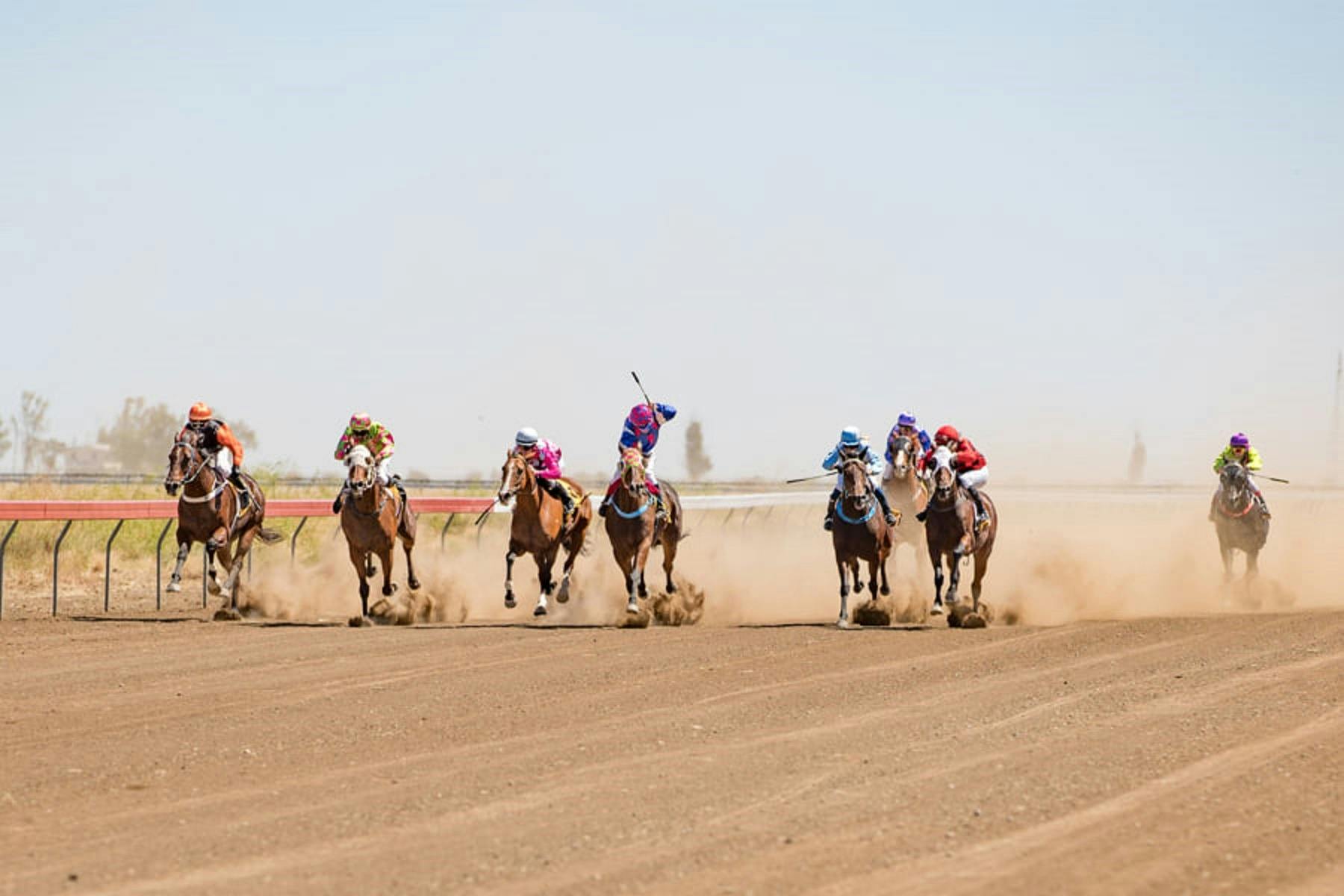 Julia Creek Turf Club - Artesian Express Race Day