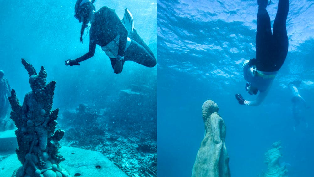 SeaLink North Queensland - Great Barrier Reef Snorkelling Day Tour