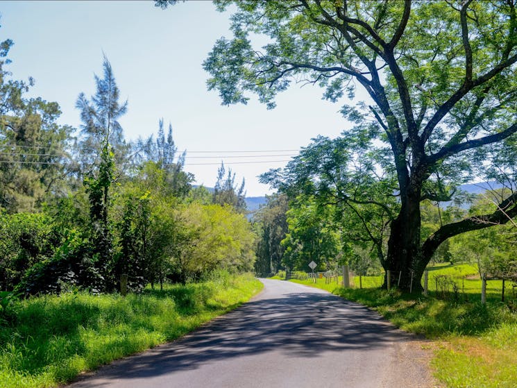 Broughton Vale