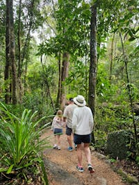 Rainforest Guided Walks