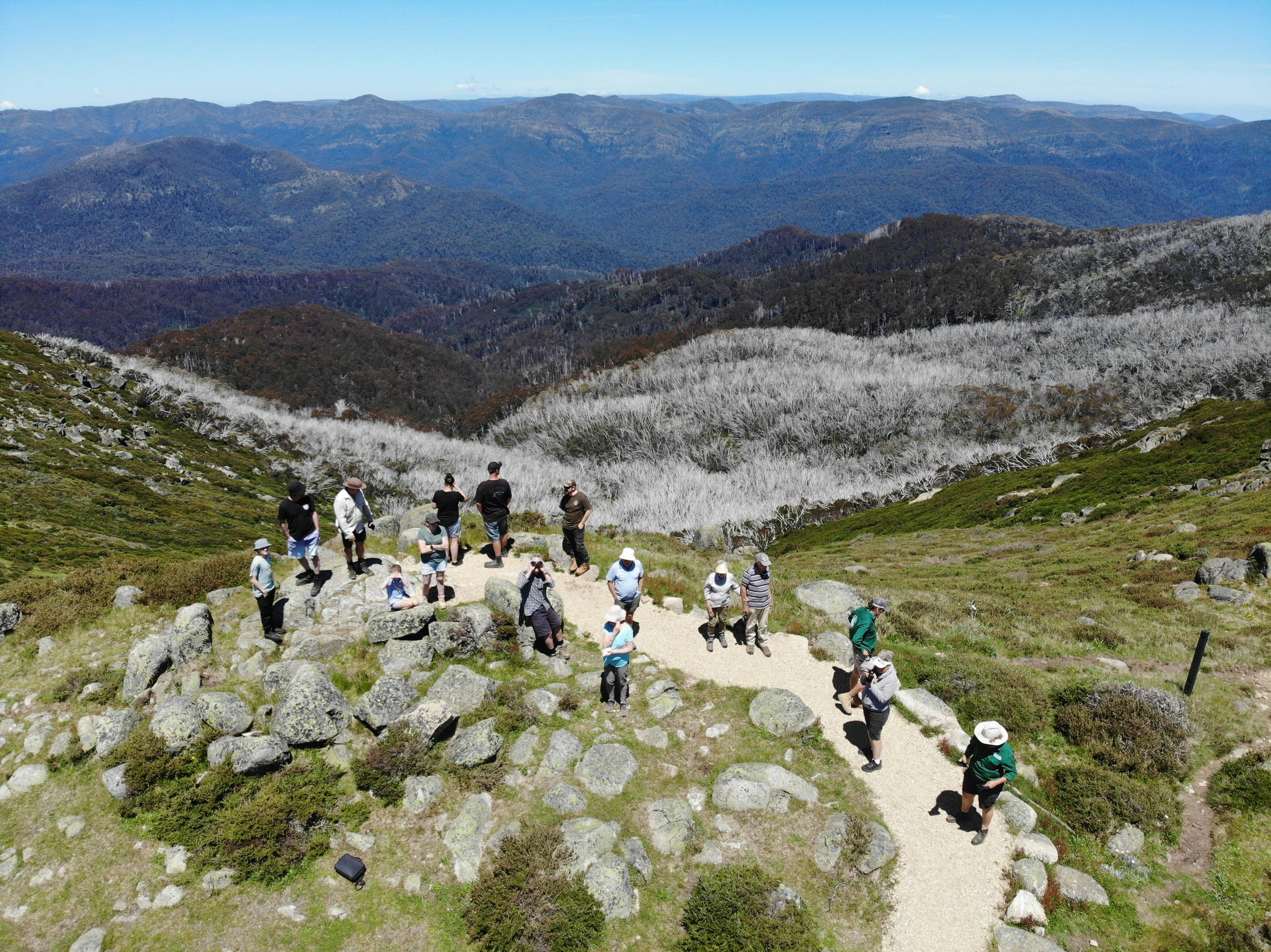 Victorian High Country - The signature