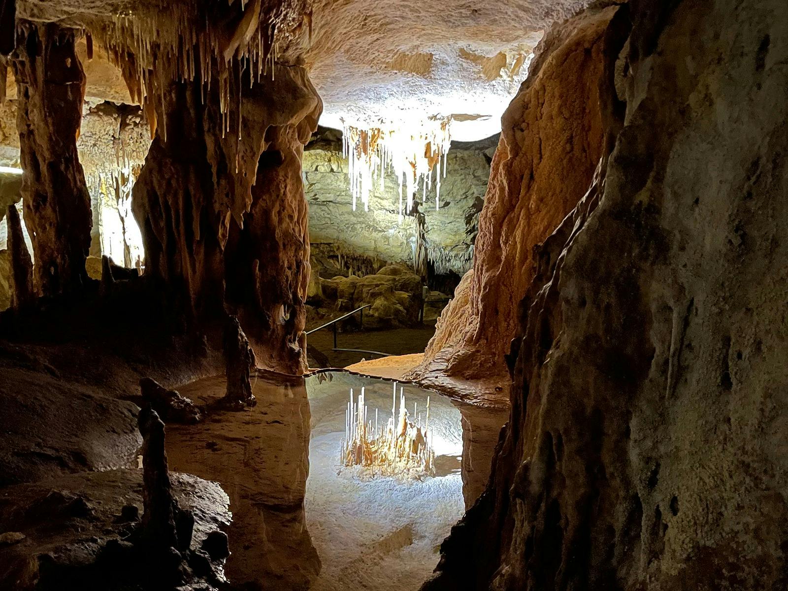 Naracoorte caves