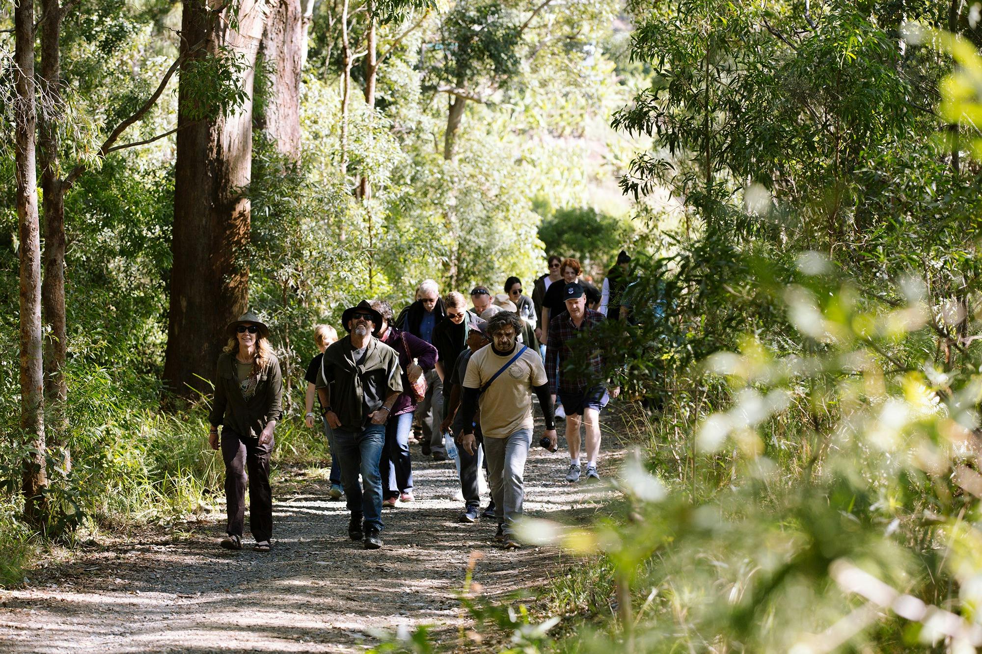 Tour group walking along gumgali trail