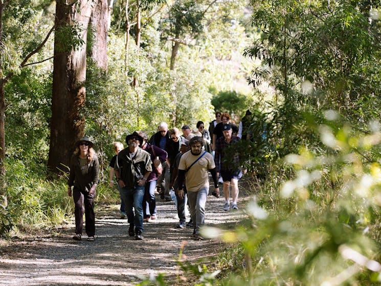 Tour group walking along gumgali trail
