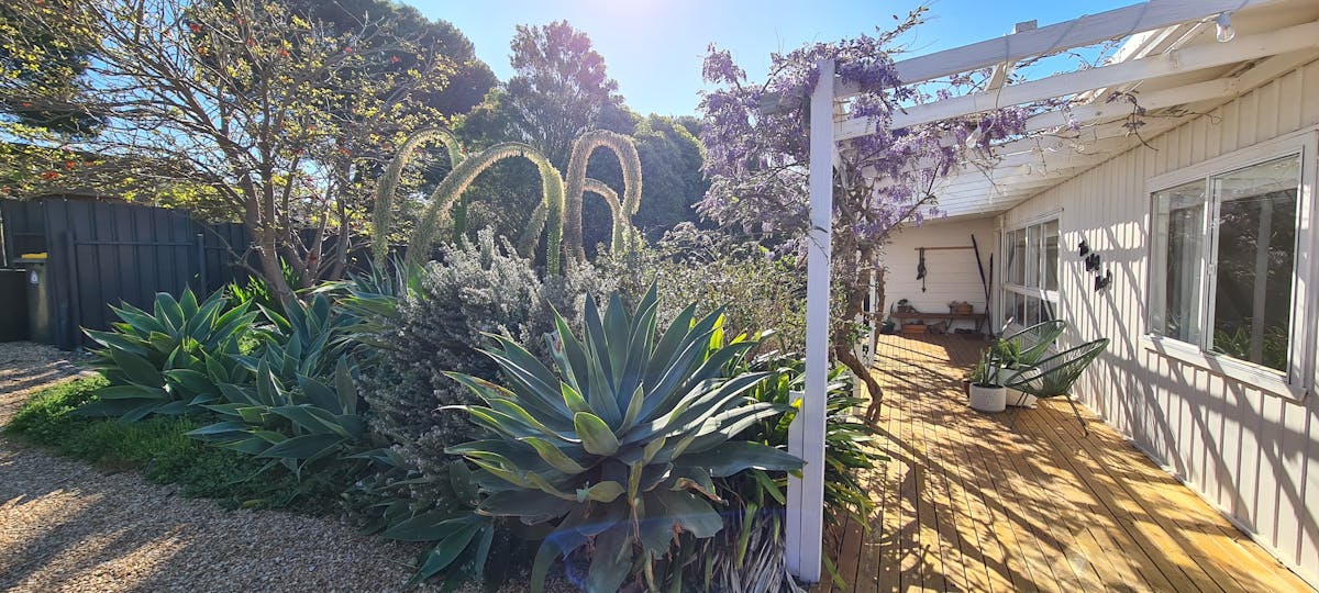 The Valley Shack Second Valley - House Gardens