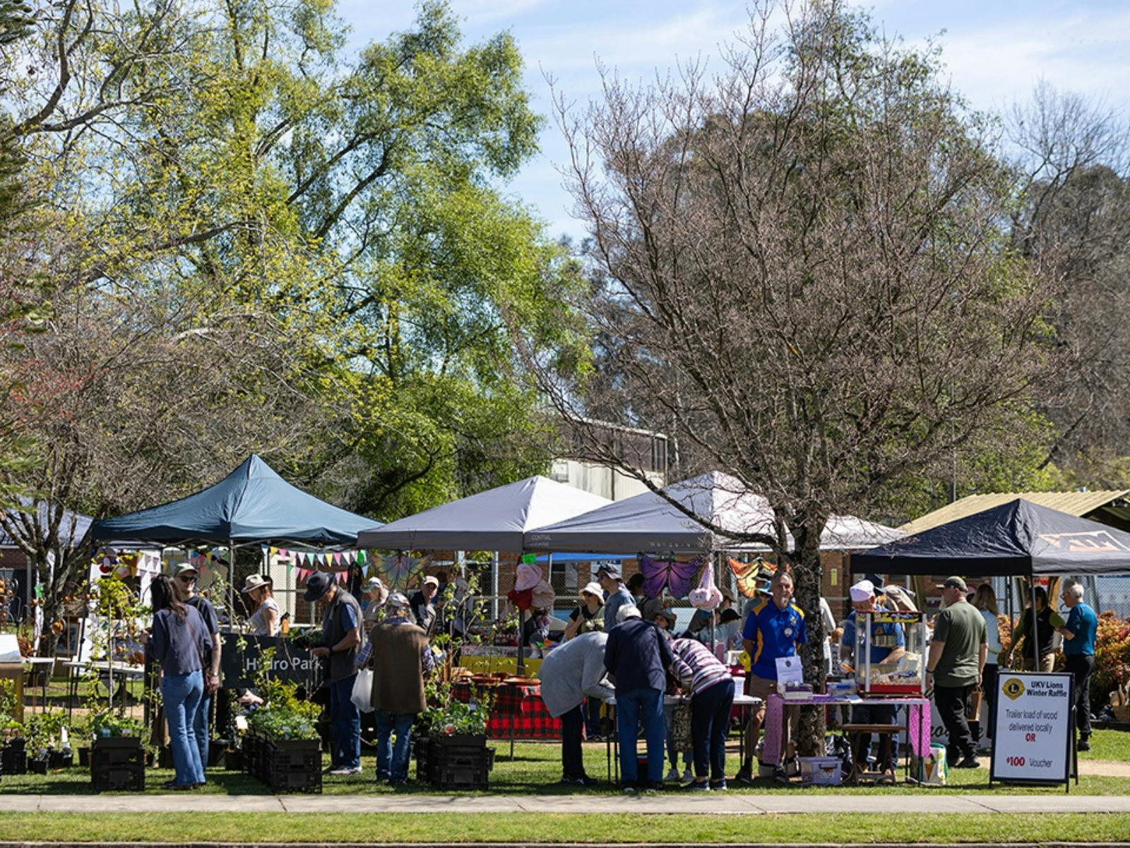 People browsing stalls under shady trees at a sunny outdoor market.