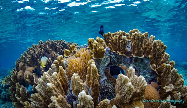 Crystal Clear Snorkelling Onboard Maddy G