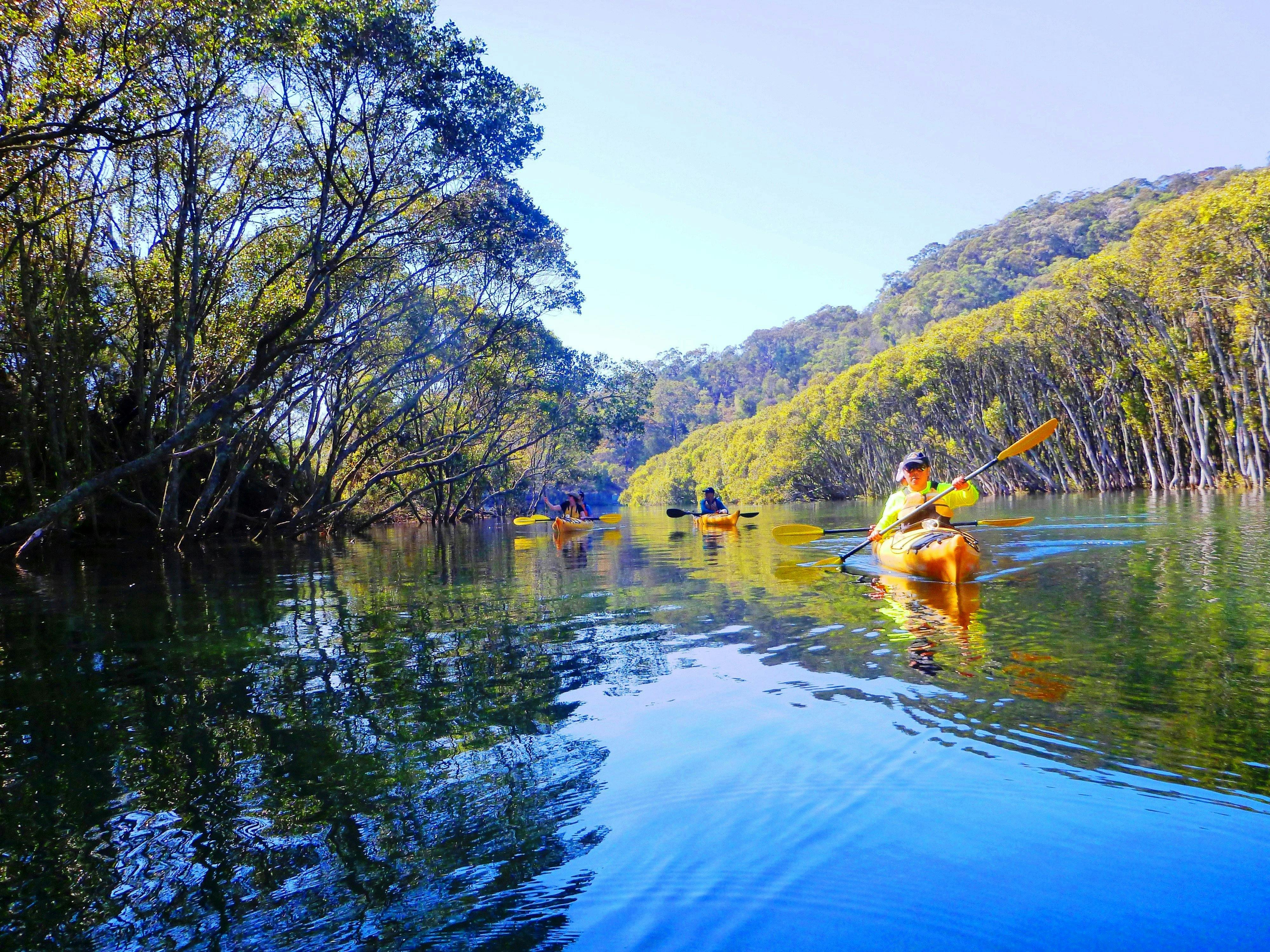 Kayak Eco Tour (Four Hours)