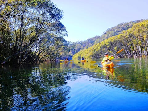 Kayak Eco Tour (Four Hours)