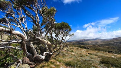 Charlotte Pass, NSW