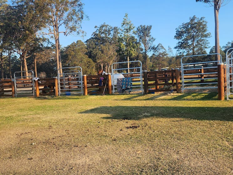 Glenreagh Recreation Reserve Camping