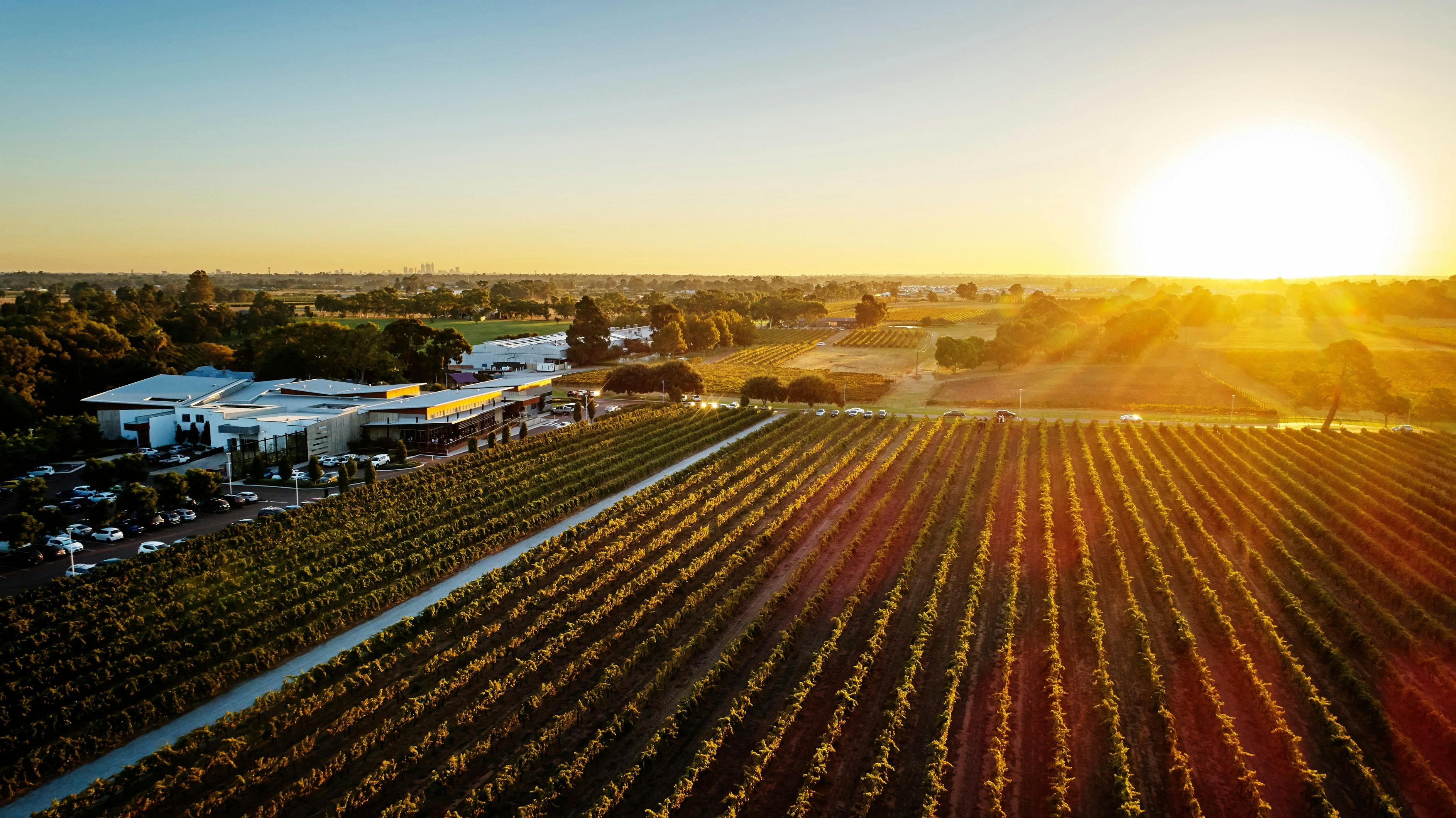 Swan Valley and Fruit Orchard