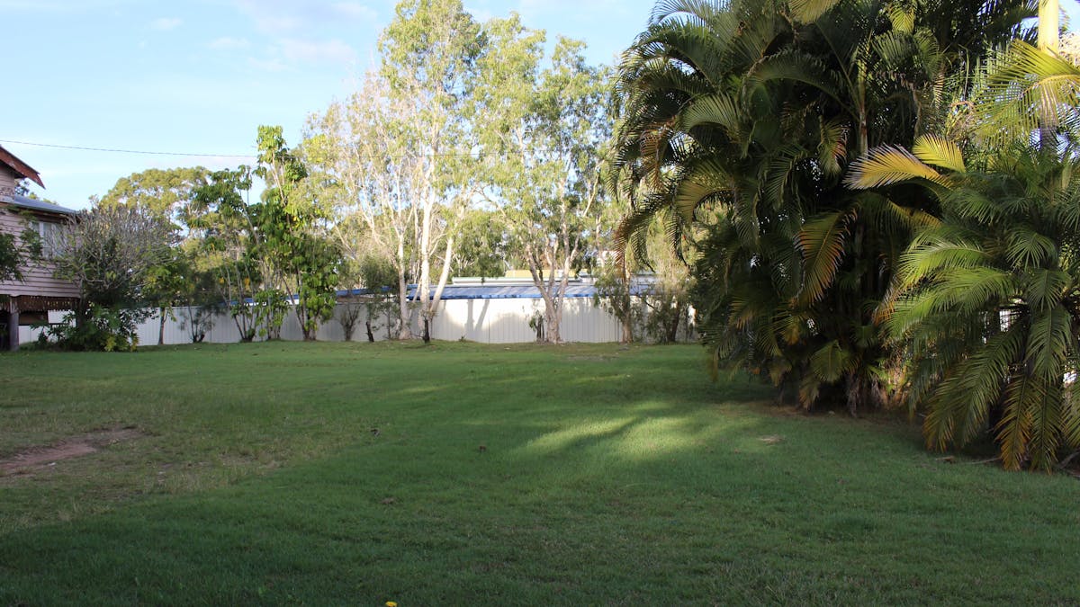 Green grass, leafy palm trees, native paperbark trees.