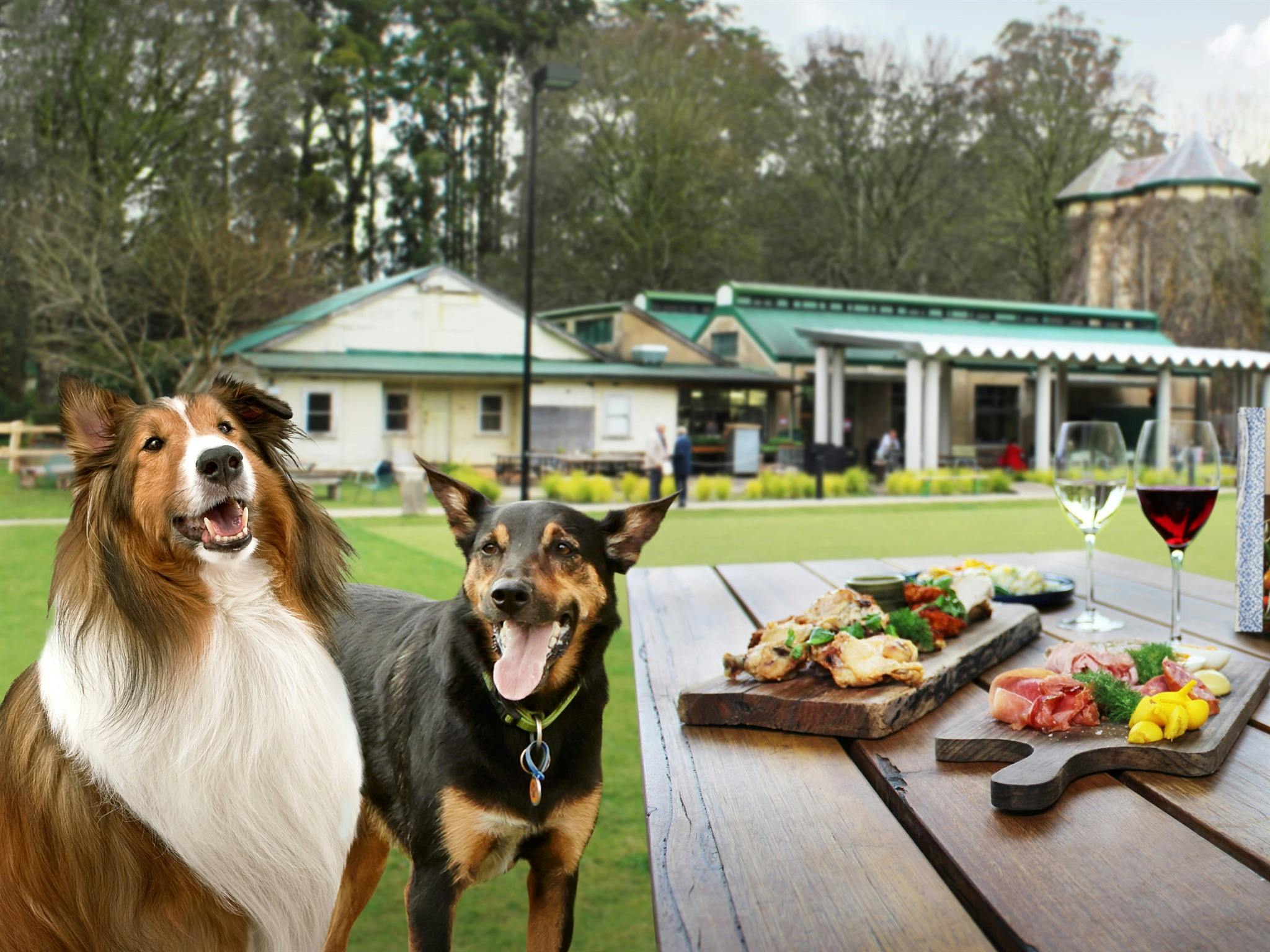 Gourmet Pawprints - Dog Friendly Tours