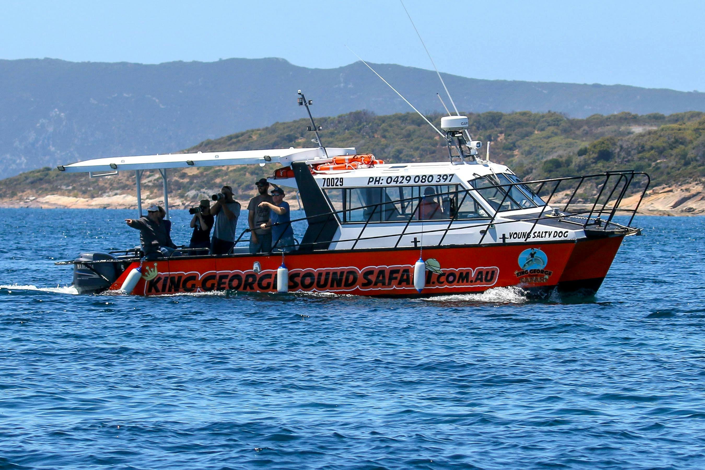 2, 3 or 4 Hour Custom Safari - Build your own tour for up to 12 people