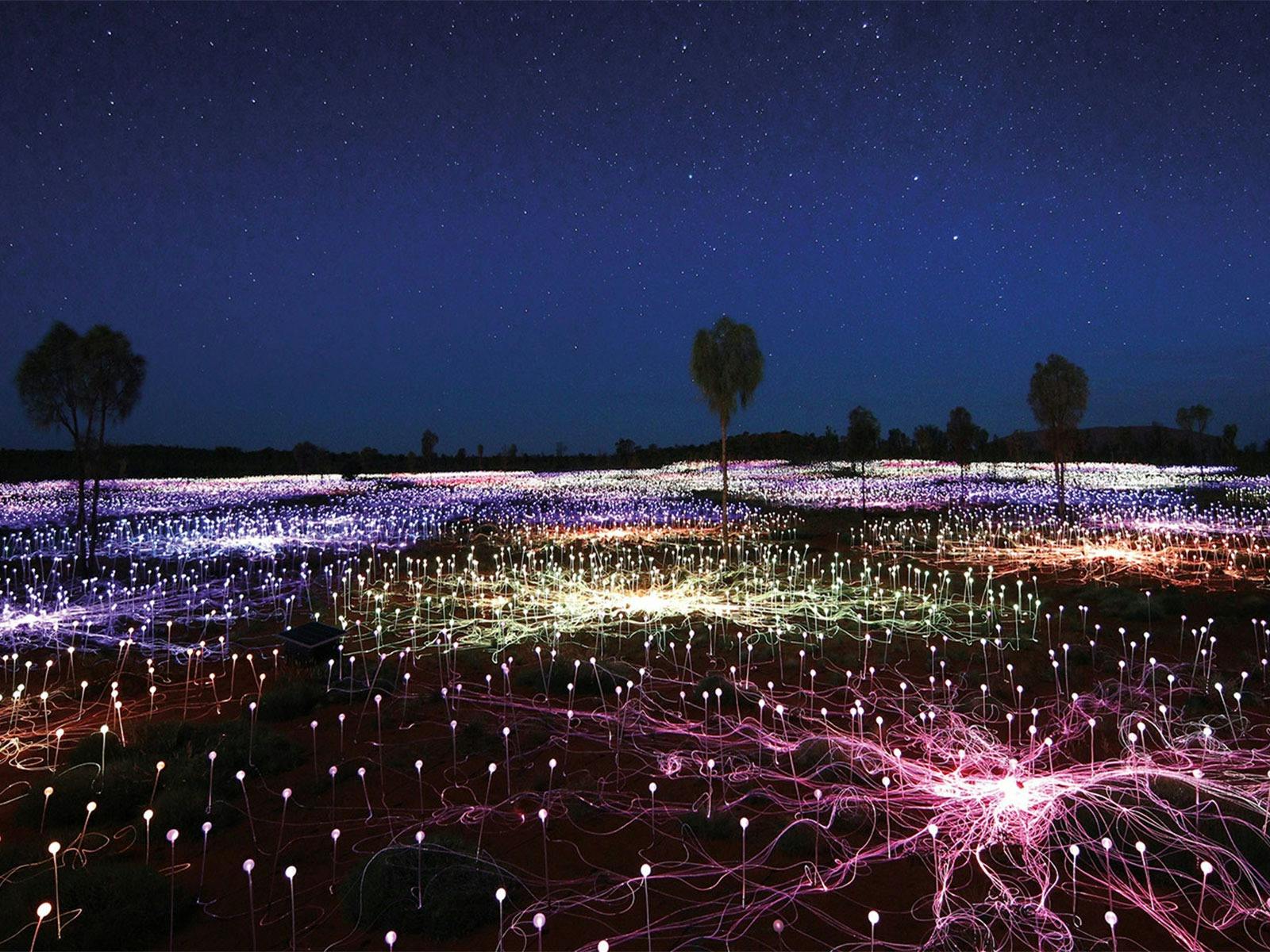 Field of Light
