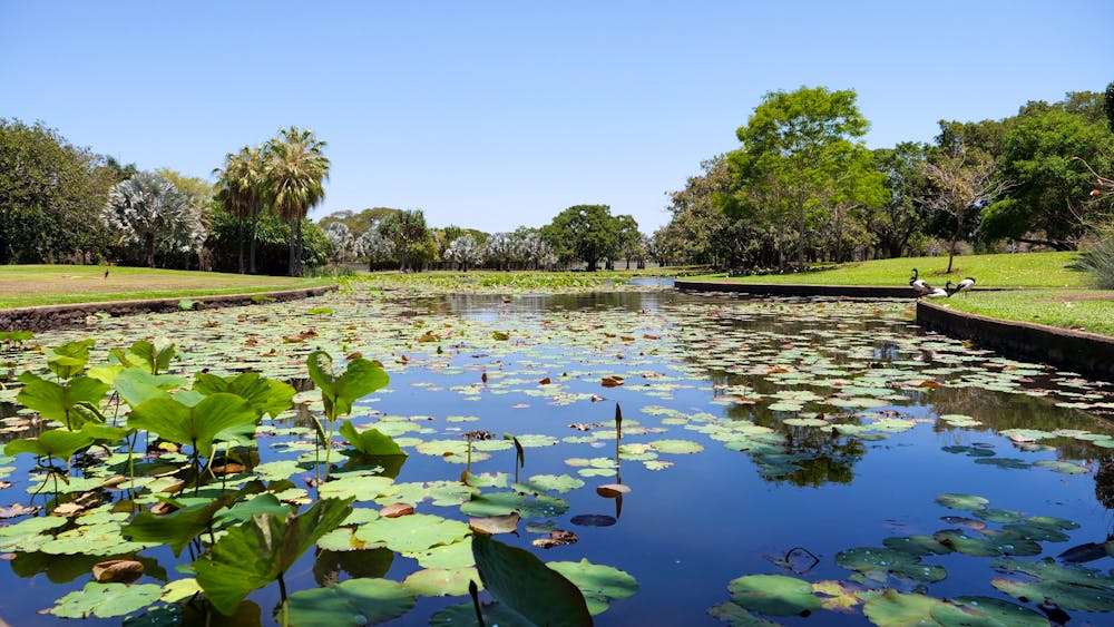 Anderson Park Botanic Gardens