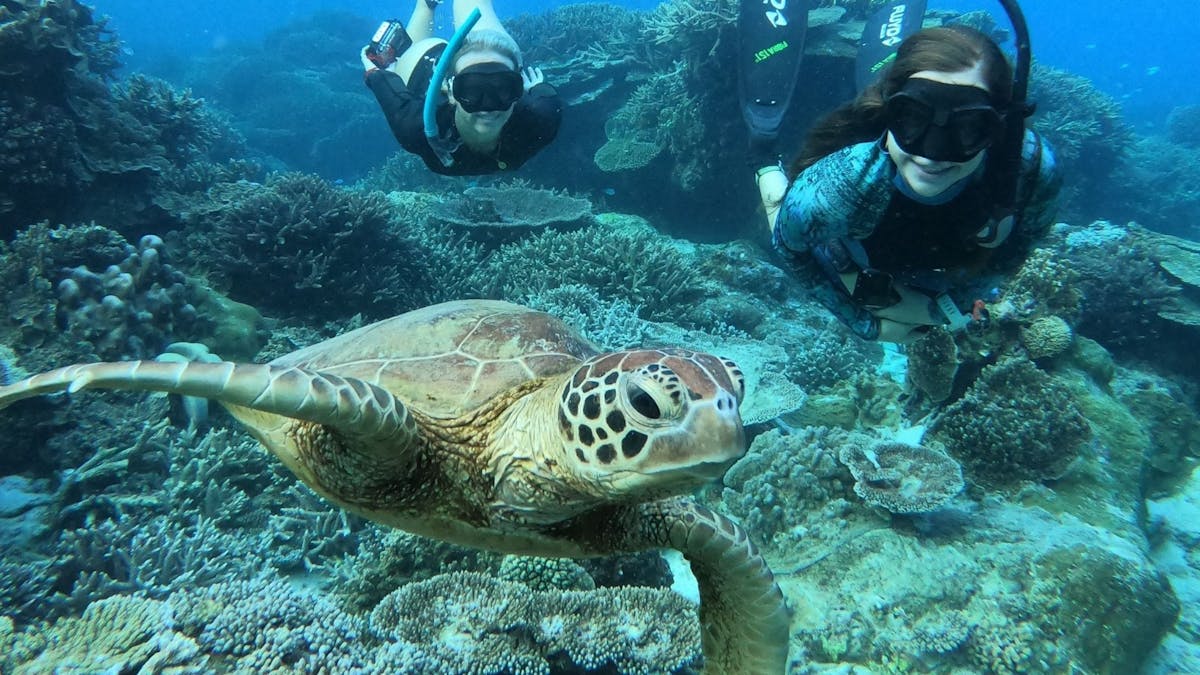 Tourists explore underwater, observing vibrant marine life in a calm, open sea environment