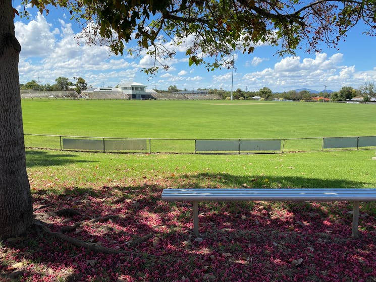 Seat overlooking oval on a sunny day