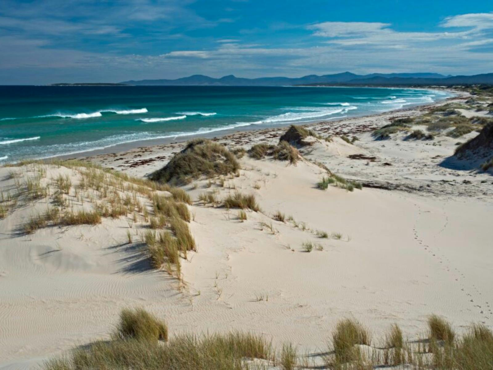 Captivating beach view along the picturesque coastline of North West Tas - Tour with Coastline Tours