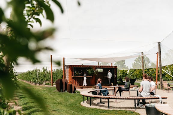 Napoleone Orchard Bar Cider Festival