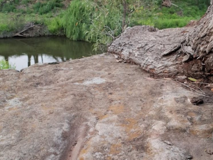 Terramungamine Reserve Dubbo