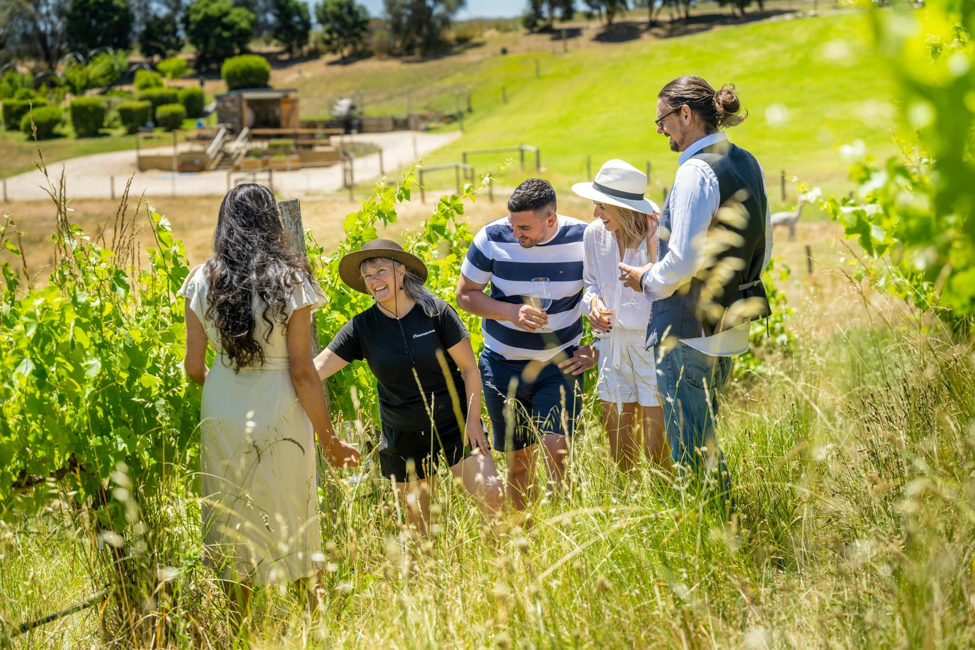Guests enjoy vineyard tour on Wine and Wander Experience