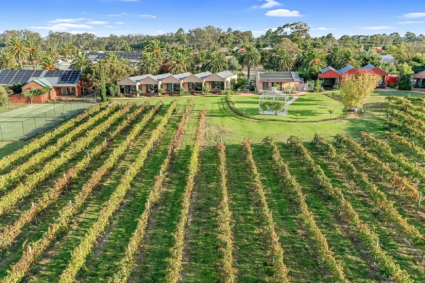 Tuileries at De Bortoli Rutherglen aeriel  views