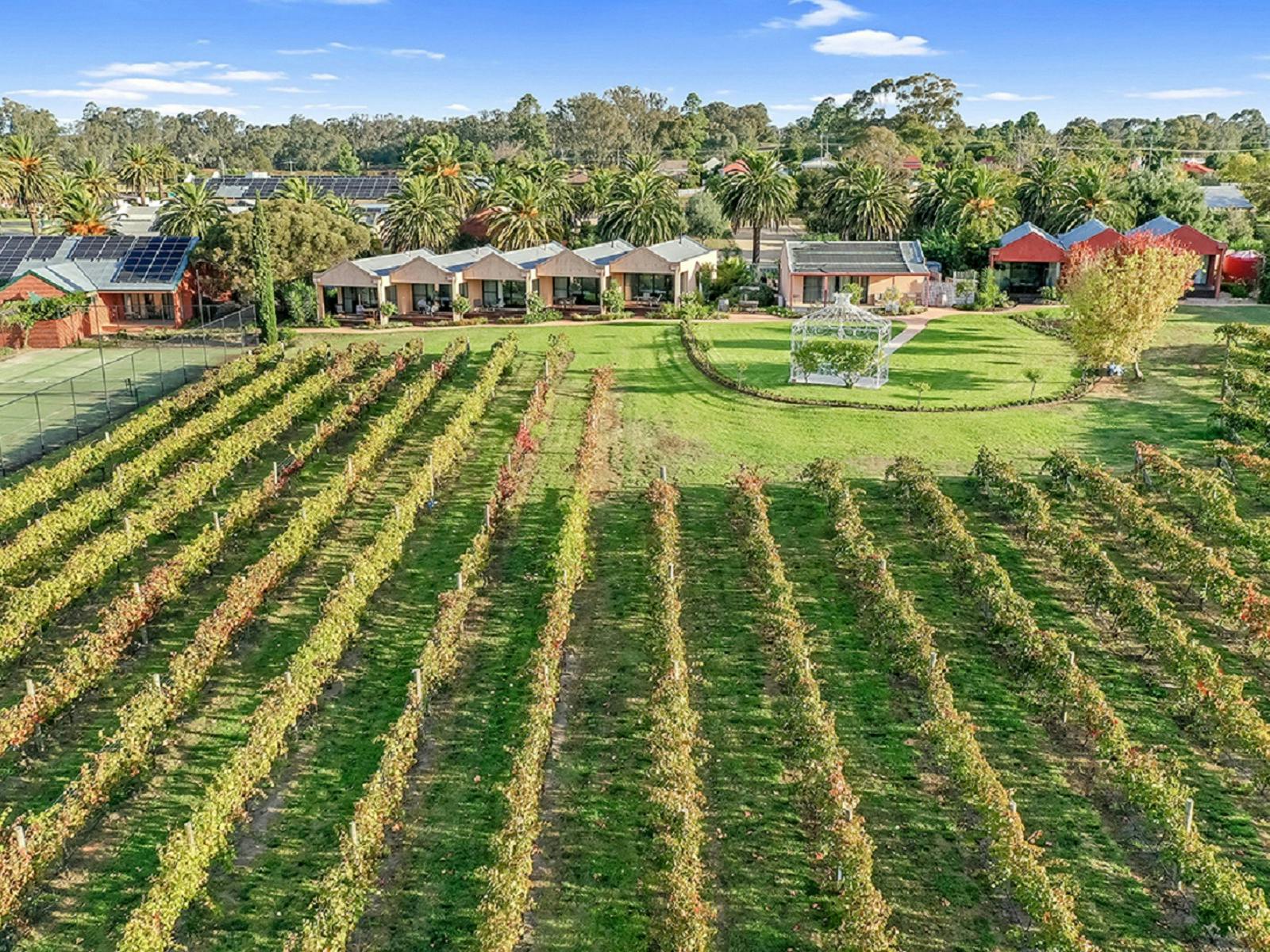 Tuileries at De Bortoli Rutherglen aeriel  views
