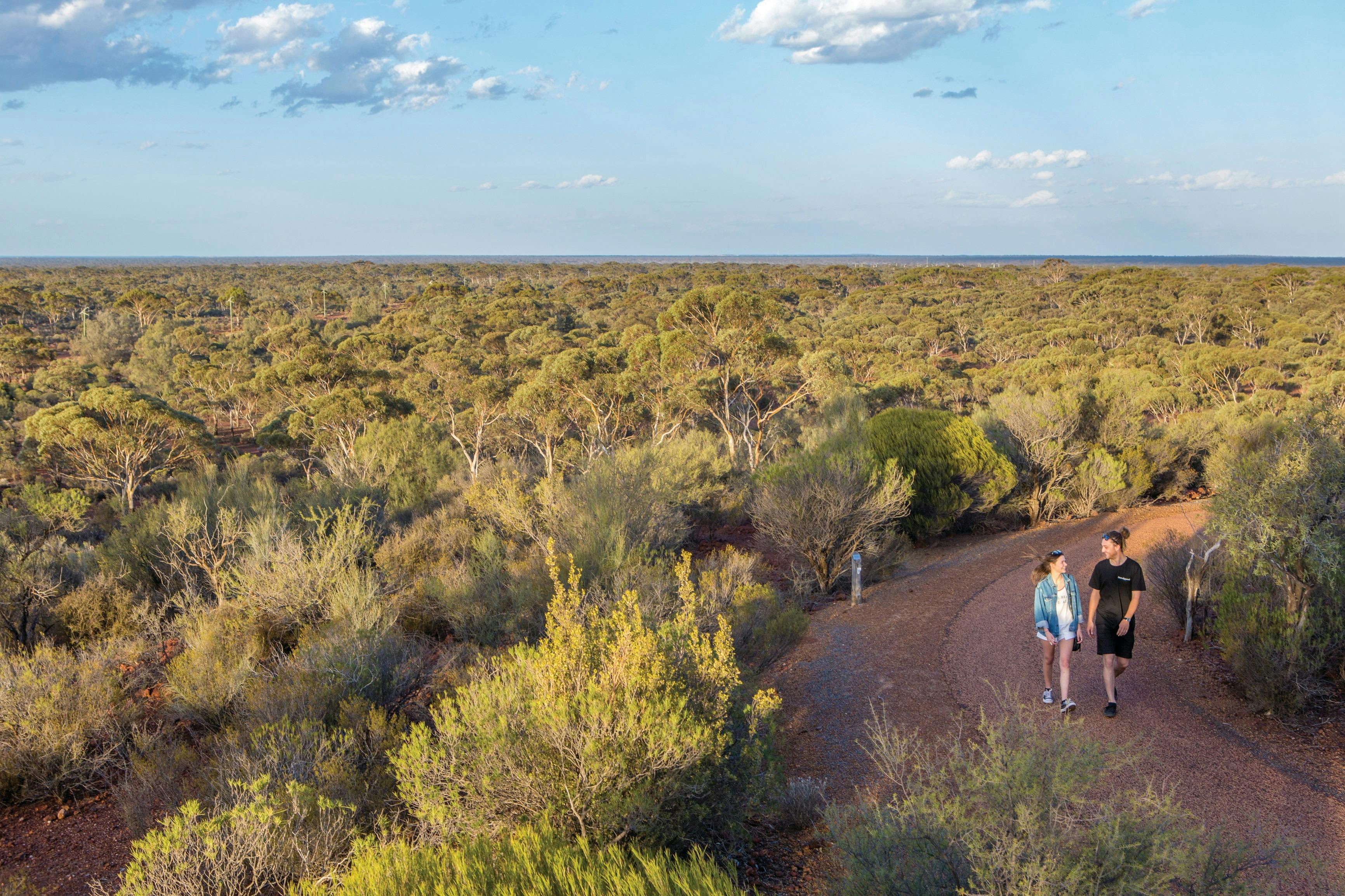 Karlkurla Bushland Park near Kalgoorlie