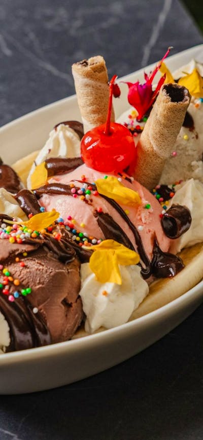 Ice cream sundae dessert bowl