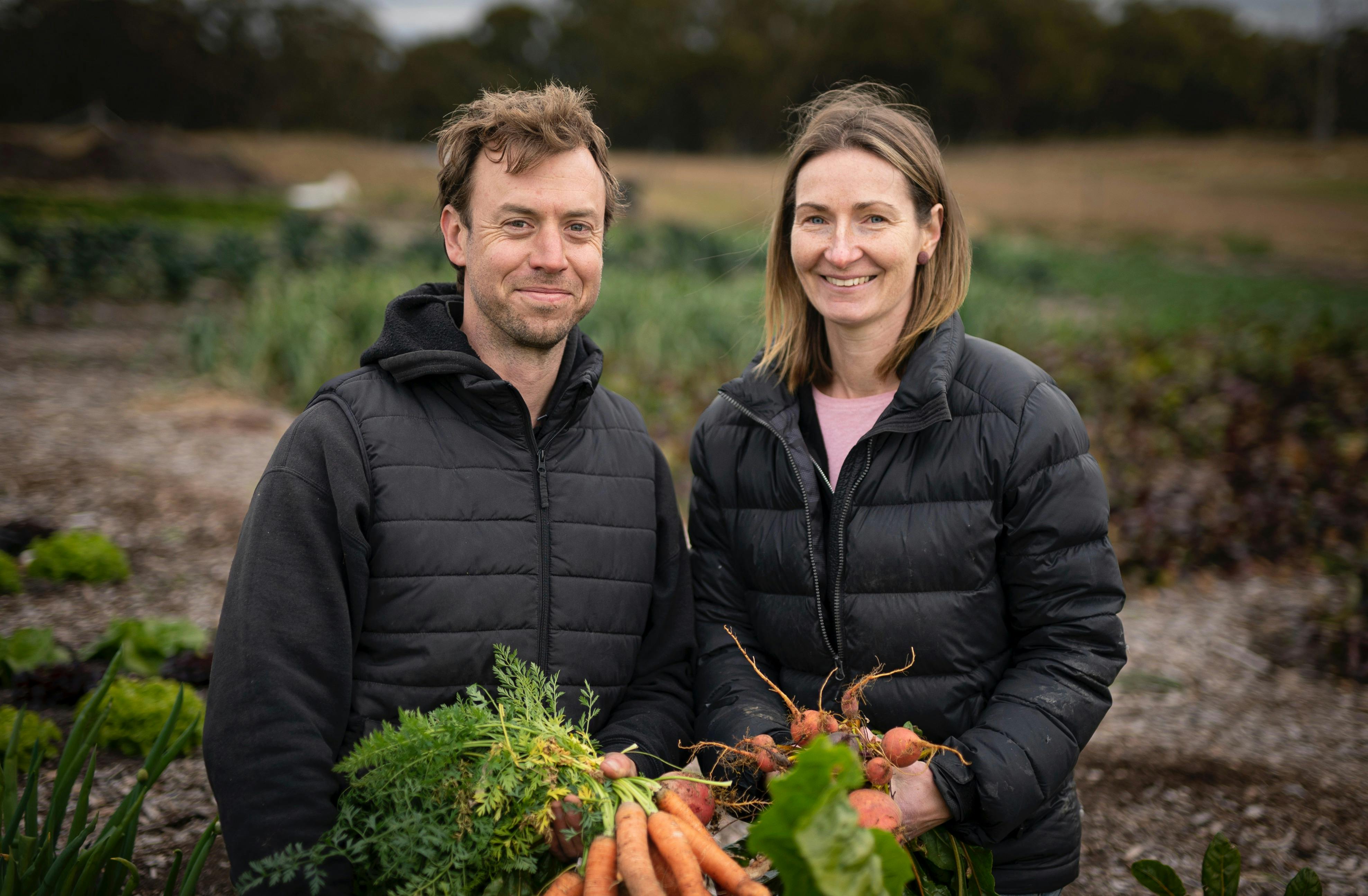 Chemical free vegetables grown on the farm