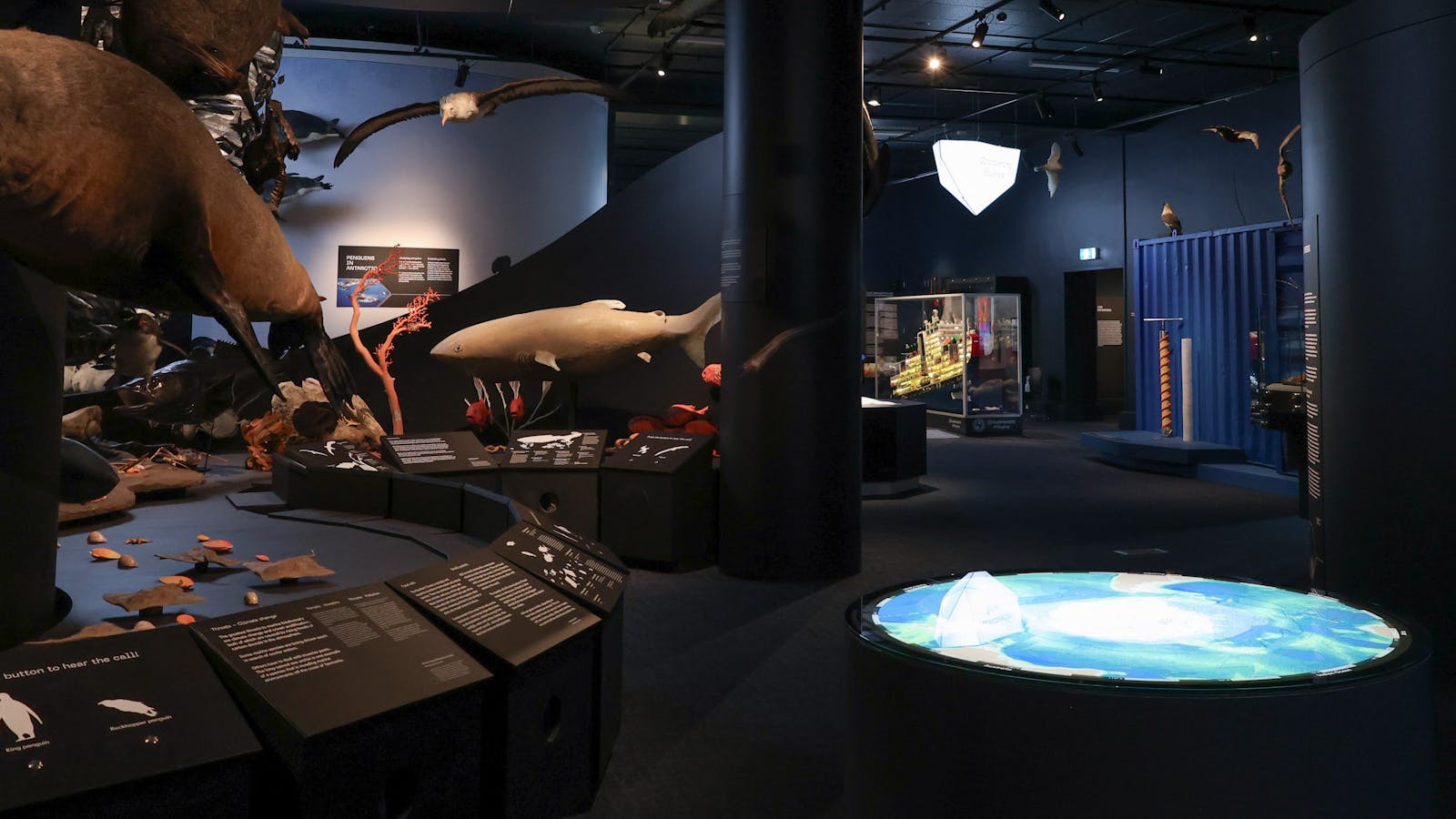 Islands to Ice: The Great Southern Ocean and Antarctica