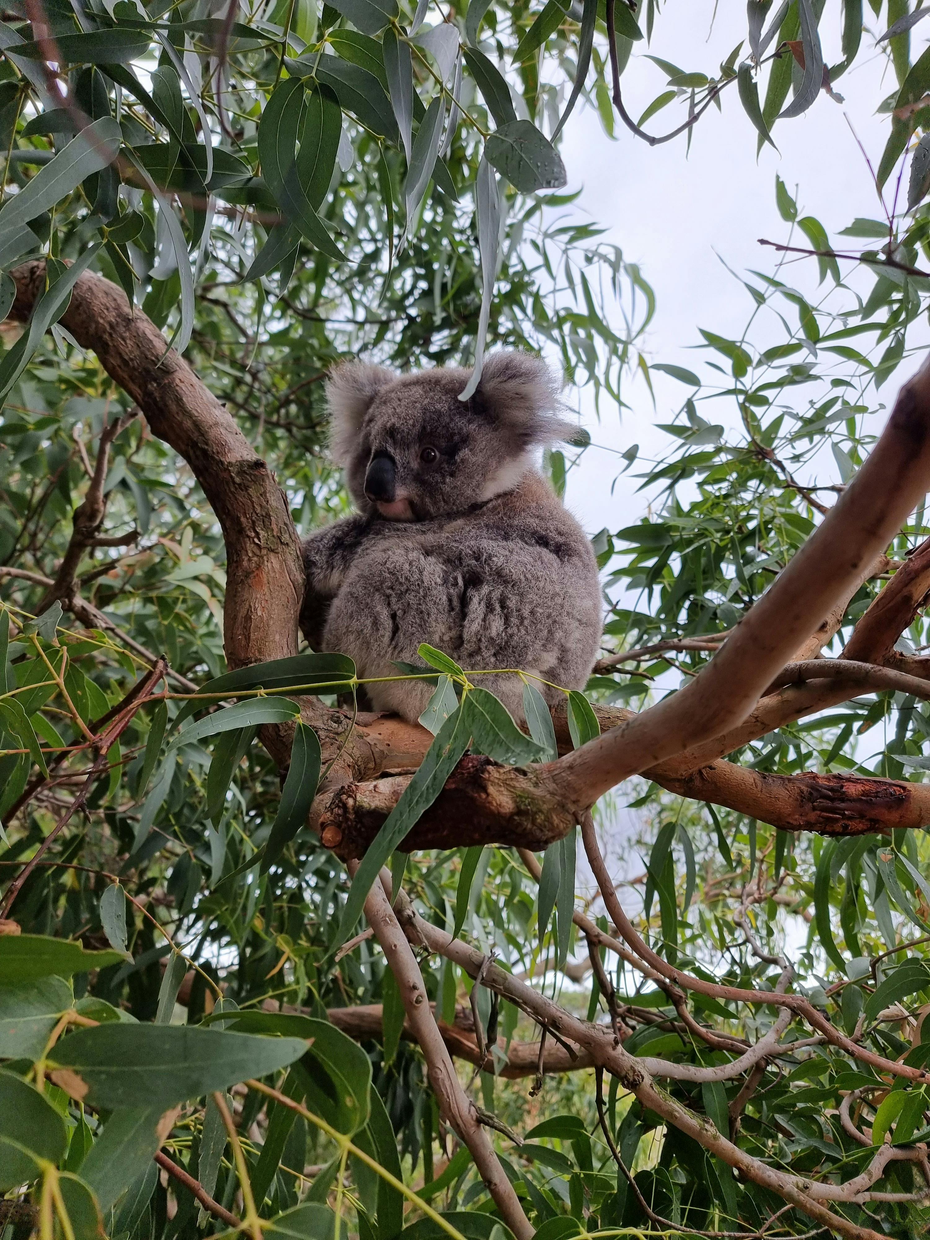 French Island Weekend Experience Tour