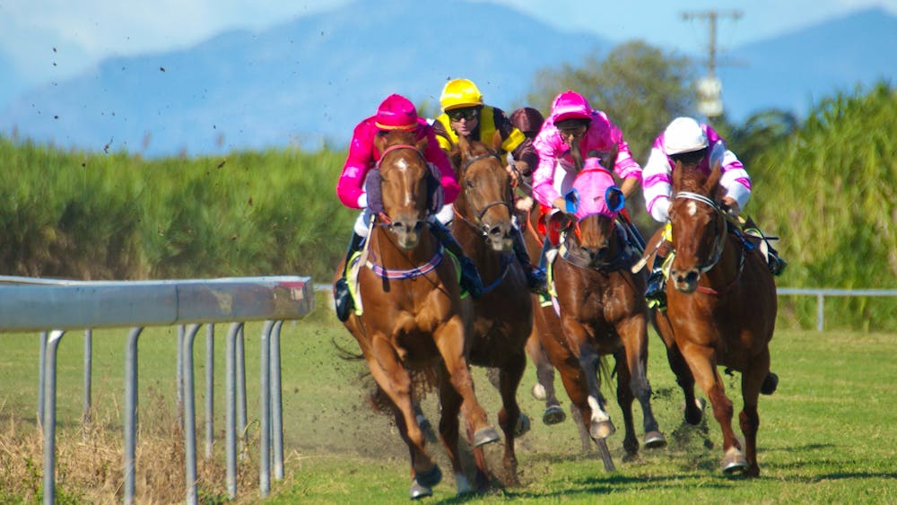 Burdekin Growers Race Day