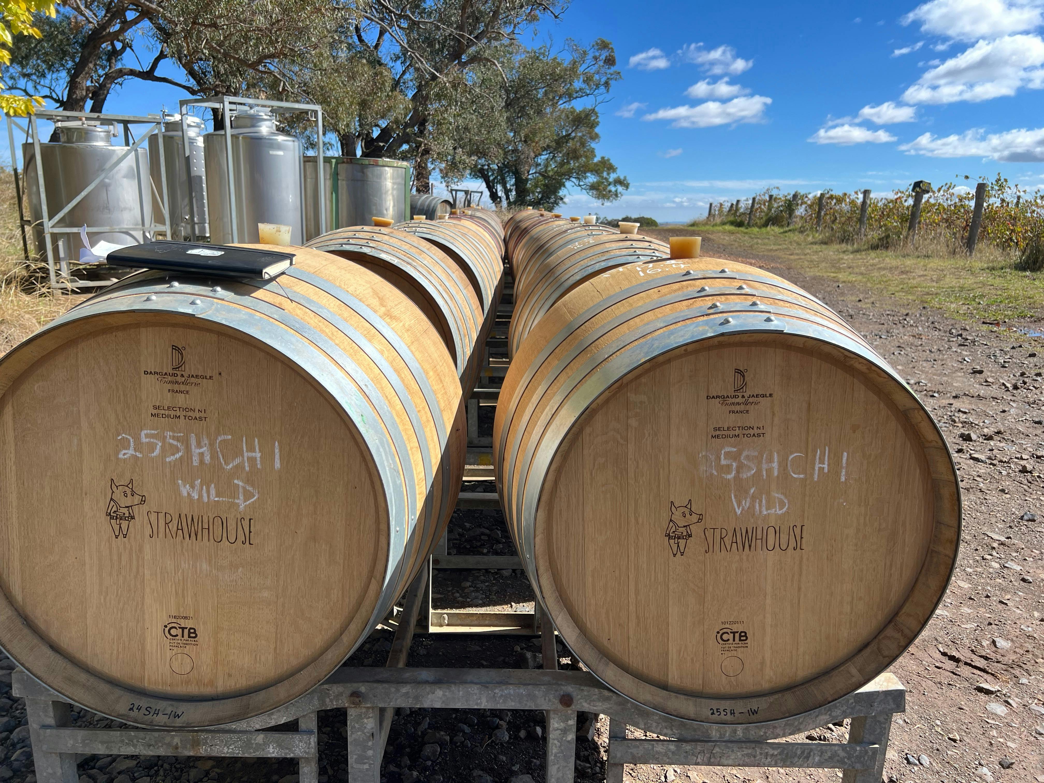 2025년 빈티지 배럴