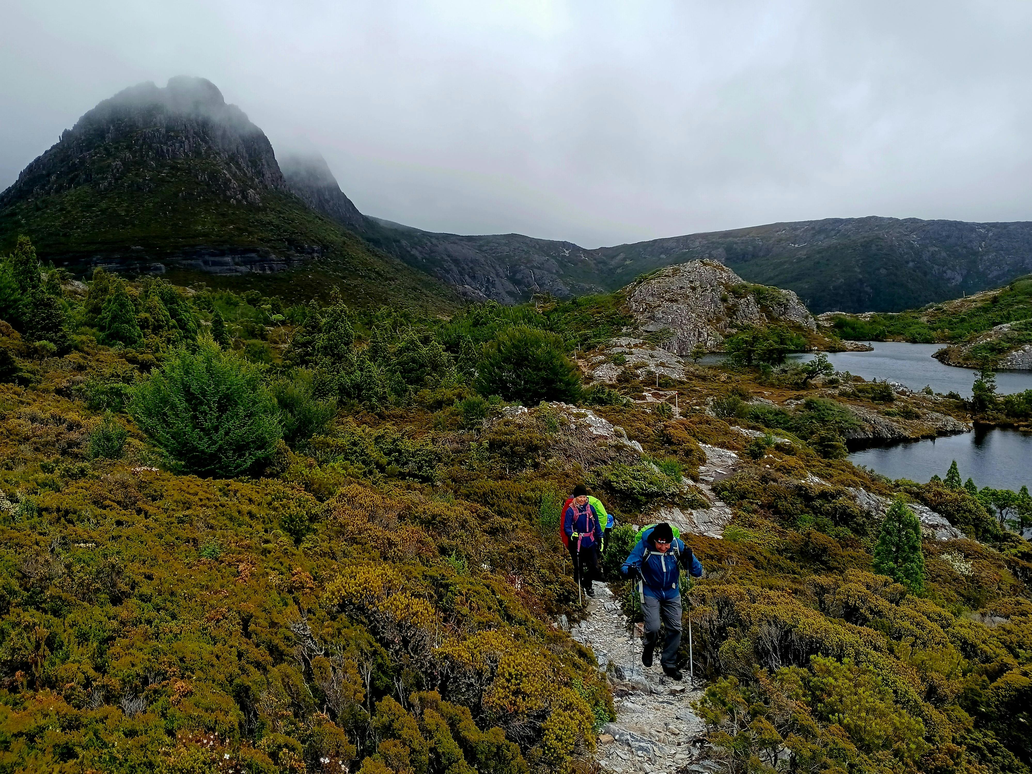 Walkers hiking along a track with Cradle Mountain and alpine lake in Tasmania.