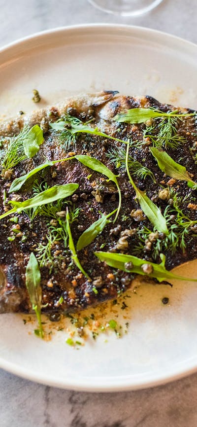 Butterfly local trout at Three Blue Ducks