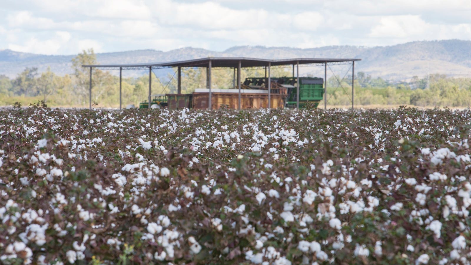 Australia's Country Way