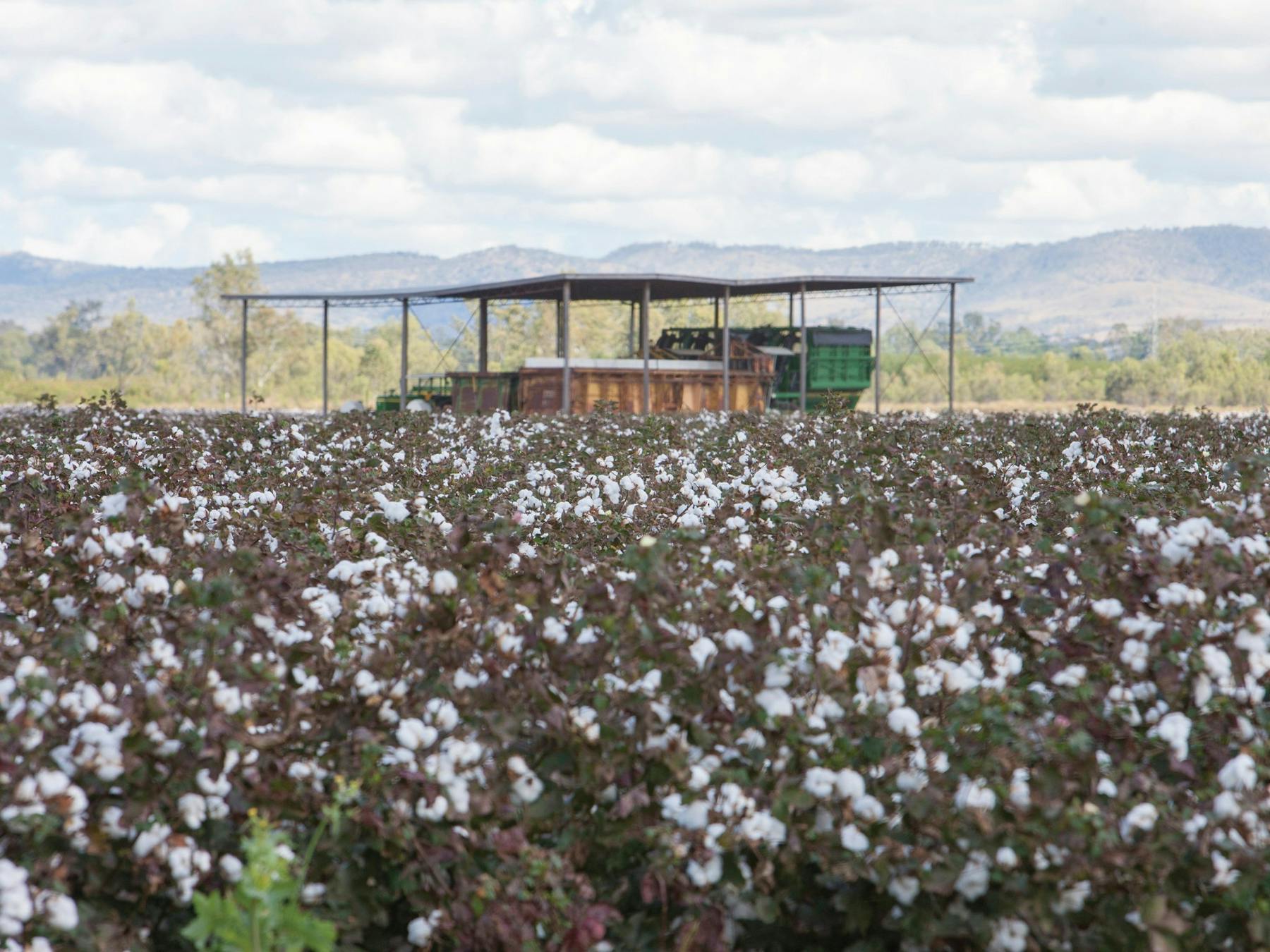 Bileola along Australia's Country Way