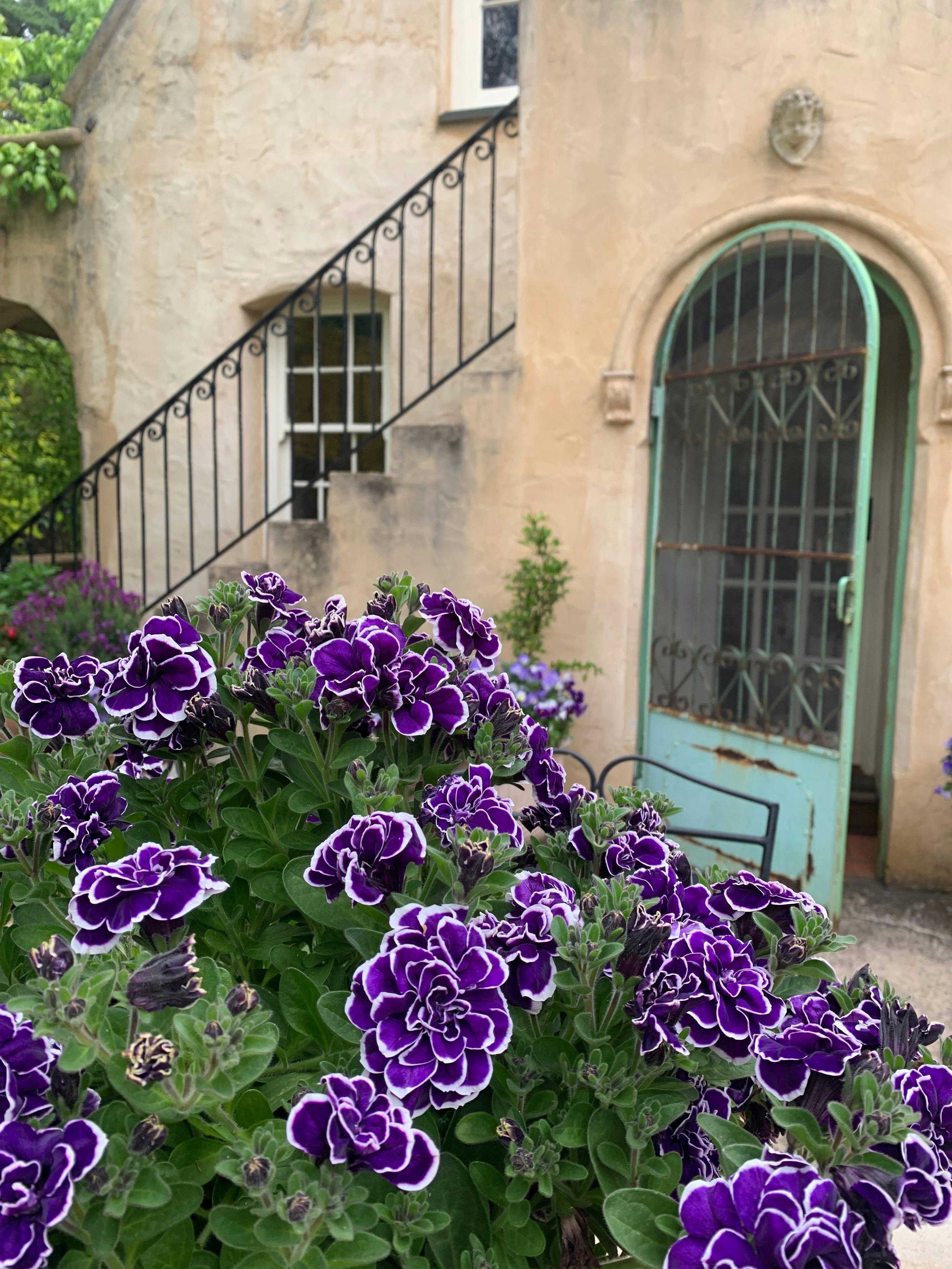 Maison de Moon