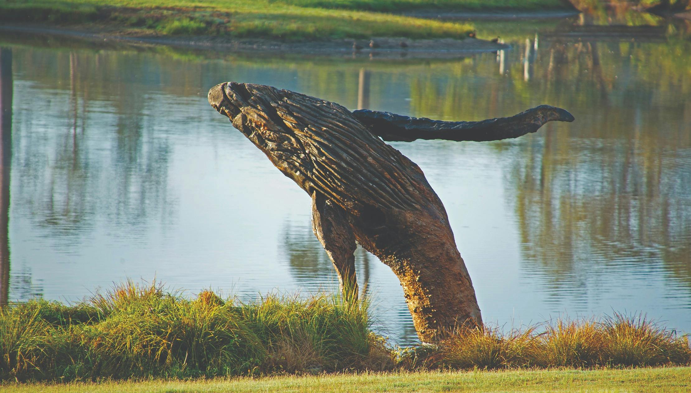 Willinga Park