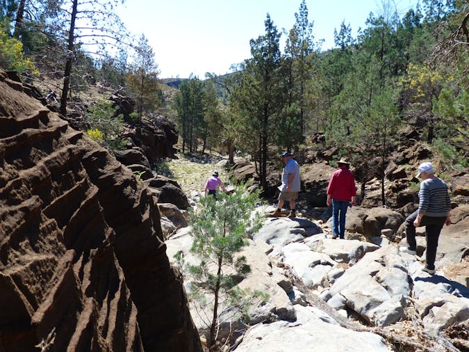 Guided DriveGuided Walk Guided DriveSelf Walk