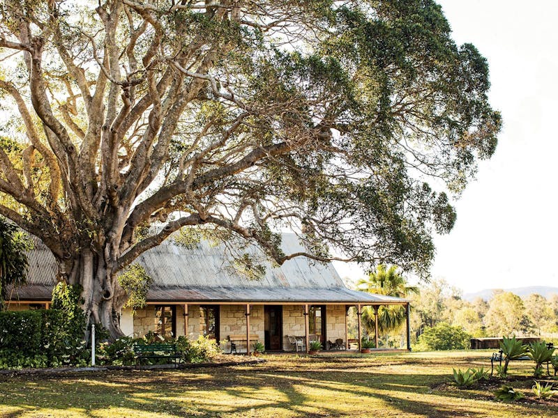 Image for Farmhouse Tea and Tour