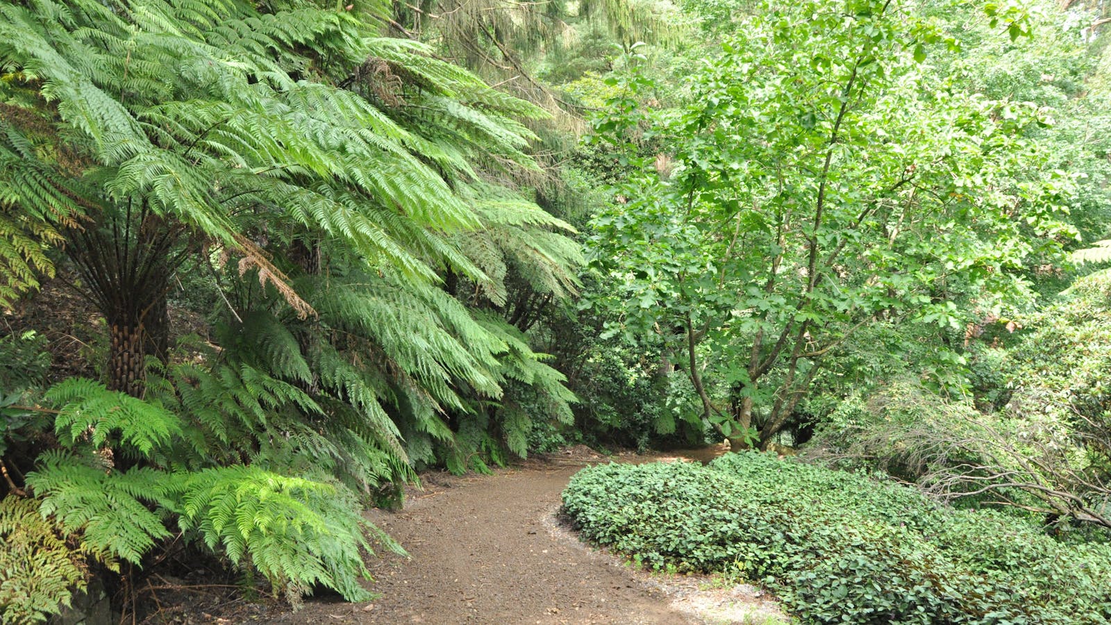 Pirianda Garden