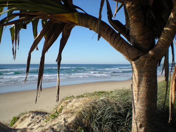 Horizons At Peregian