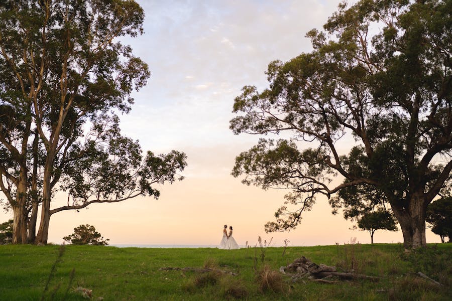 Two brides photographed at a distance between two large trees