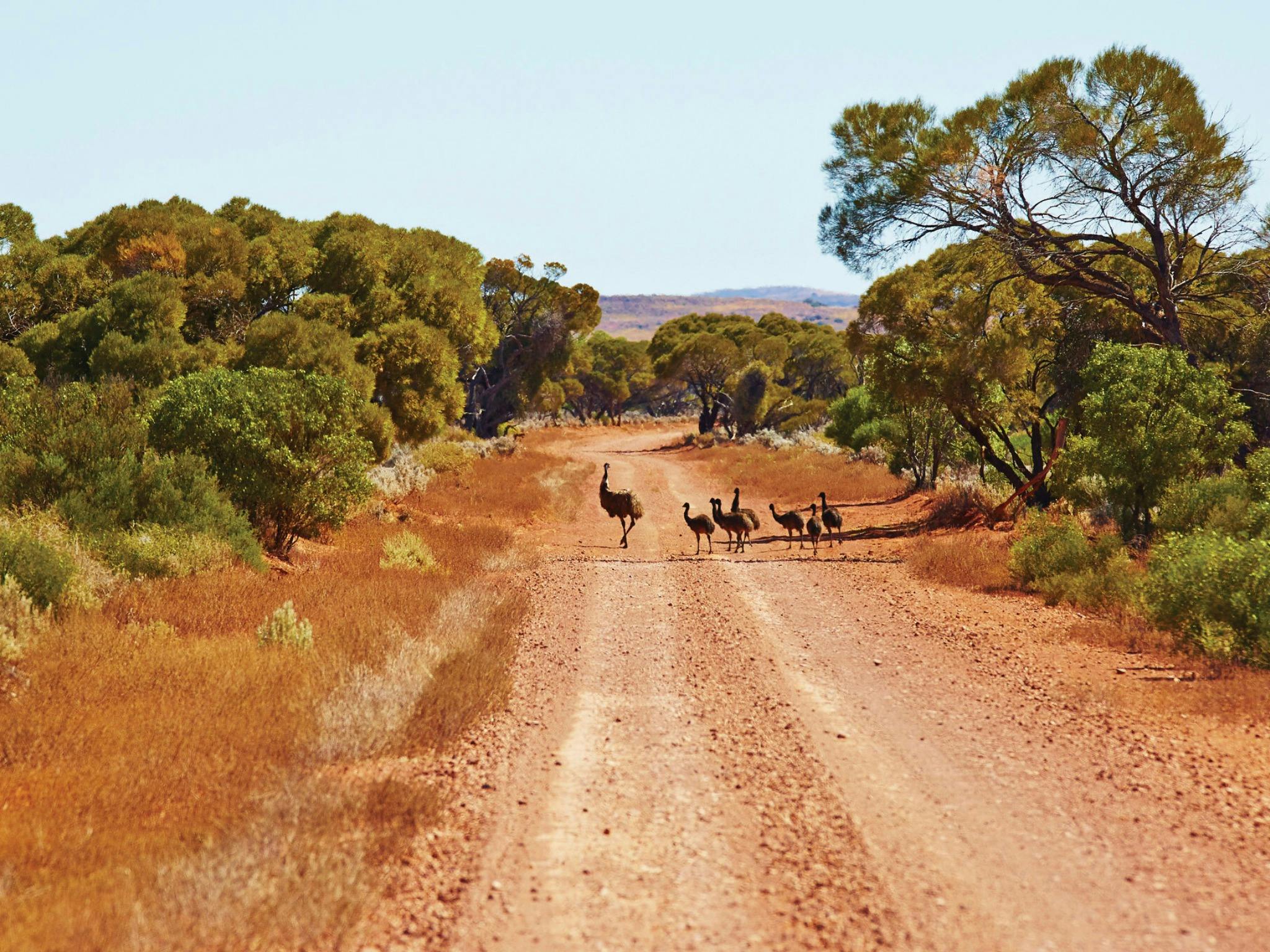 Casey Australia Tours, O'Connor, Western Australia